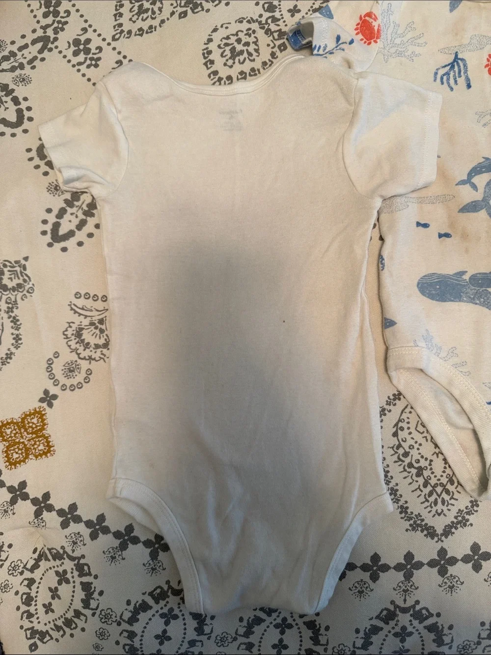 Short-Sleeve Baby Bodysuit Set of 4